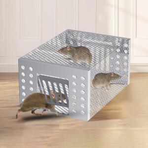 Automatic Mouse Trap