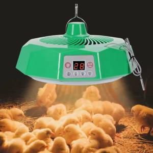 Adjustable Warm Air Lamp for Animals Heating Constant Temperature Lamp