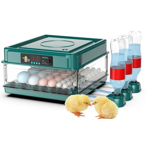 Egg Incubator 38 Eggs Automatic Egg Incubator Intelligent Digital Hatcher Brooder Temperature Control