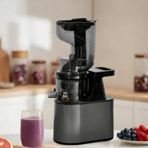 Household Slow Juicer Large Caliber Juice Extractor Pulp Separation Machine with Juice Cup